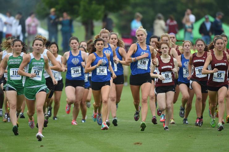 The 2015 Women’s XC team has a mix of first-years and seasoned veteran runners. Photo courtesy of W&L Sports Info.