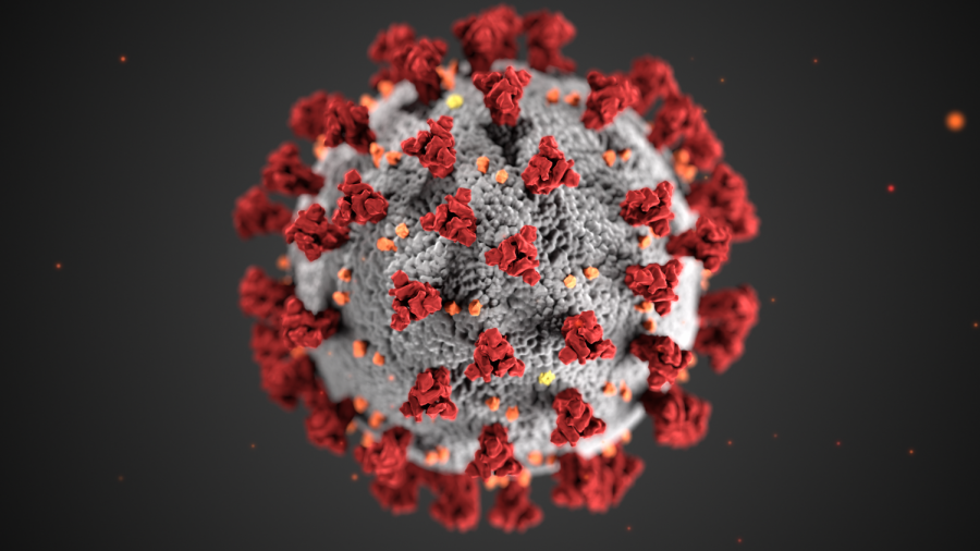The novel coronavirus. Photo illustration courtesy of the Center for Disease Control and Prevention.