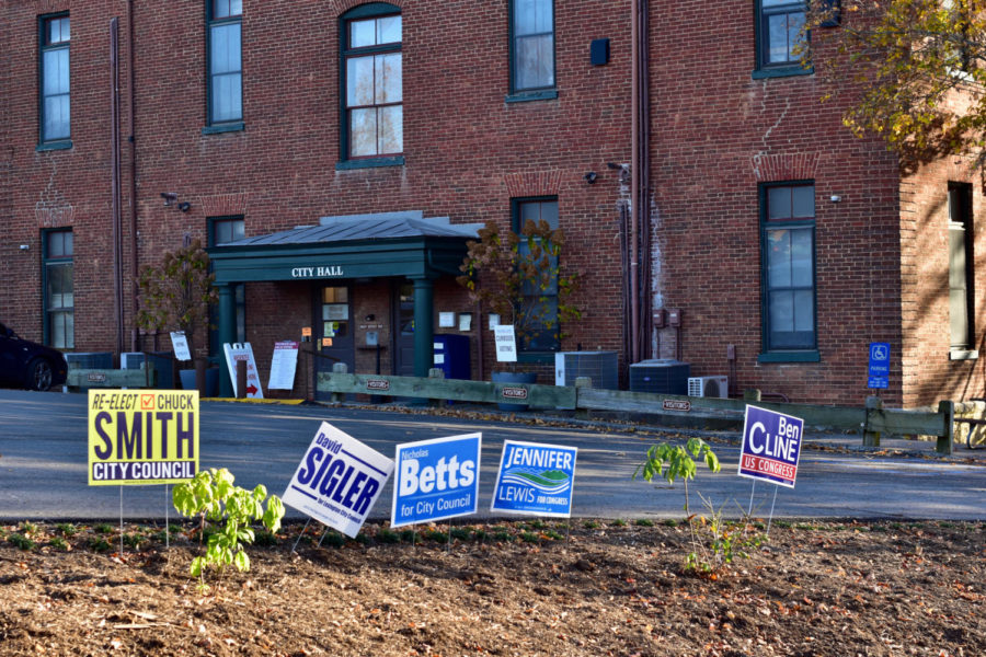 Multiple campaign signs, colored yellow and blue and white, line a stretch of dirt in front of a brick building with a city Hall sign on a green awning.