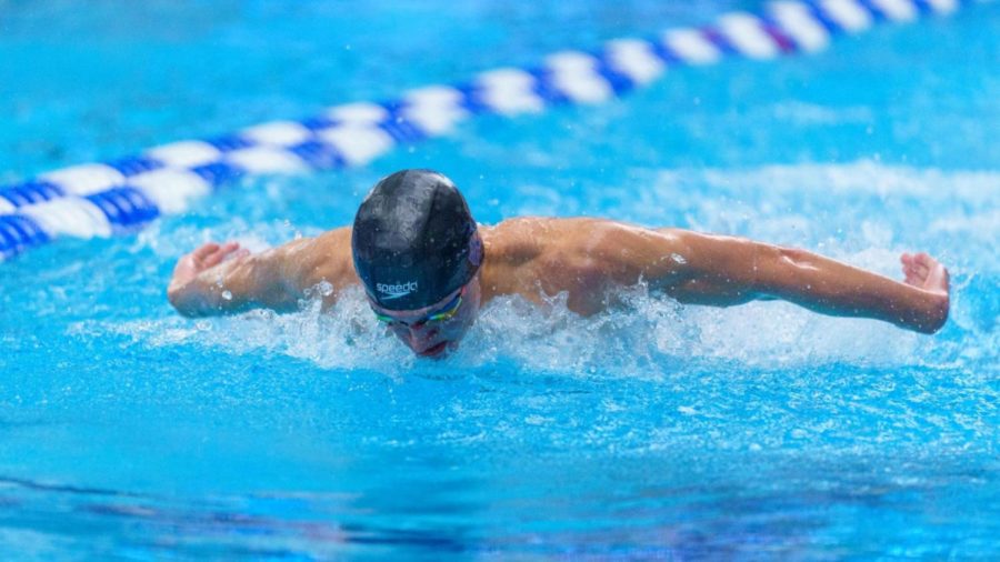 A+man+swims+on+his+front+beside+floating+lane+markers.+He+wears+goggles+and+a+black+swim+cap.