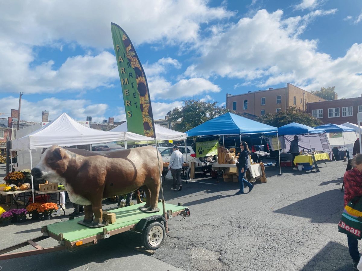 Lexington Farmers’ Market is a place where students and the community can interact. 