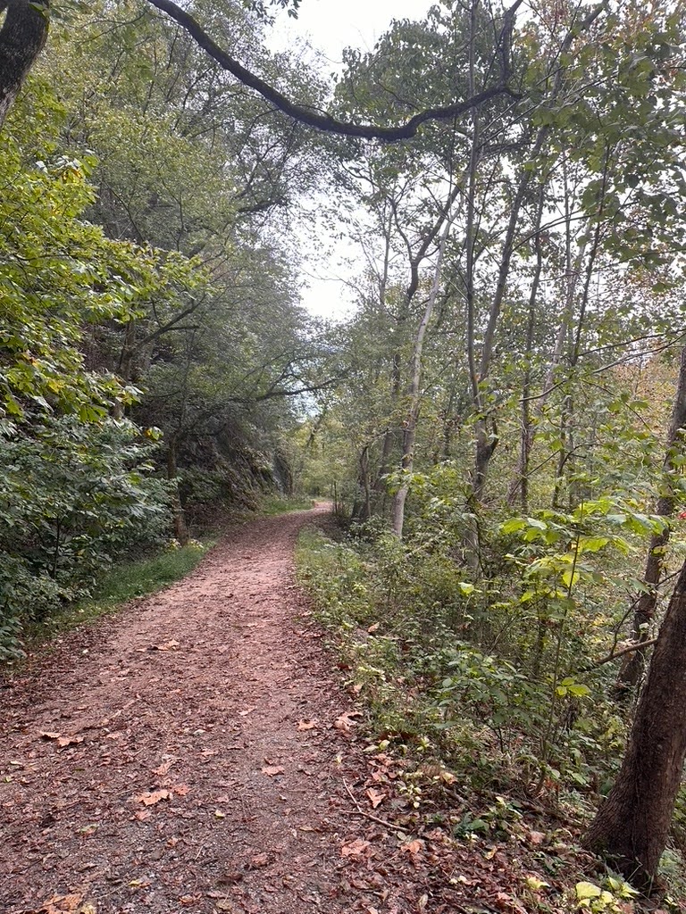 Back Campus trails are one of the target areas for the monthly trail cleanup days. 