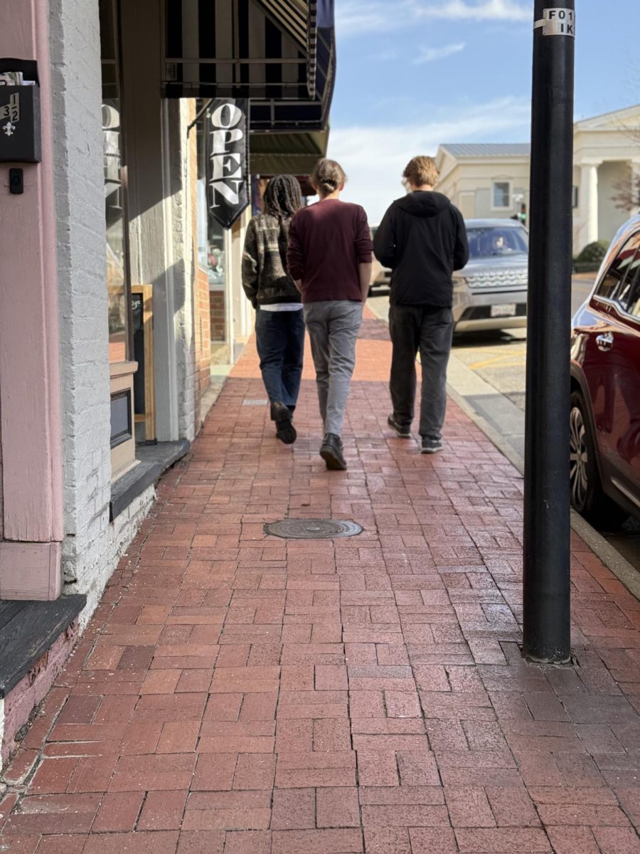 Community members walk alongside Nelson Street in downtown Lexington. “Townie” can be used to refer to those living full-time in a college town, but it also carries negative connotations about education and social class.