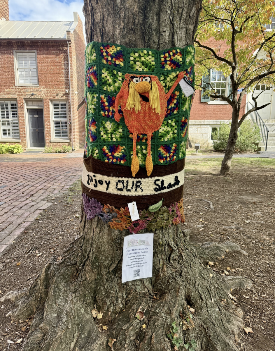 One of the yarn bombs includes a blanket featuring The Lorax, a Dr. Seuss character that "speaks for the trees."