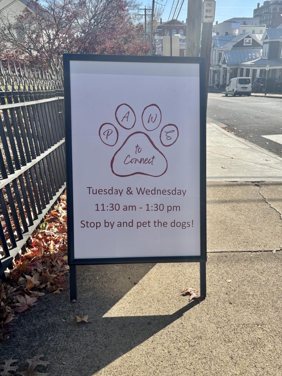 Every community member is welcome to stop by at Paws to Connect. 