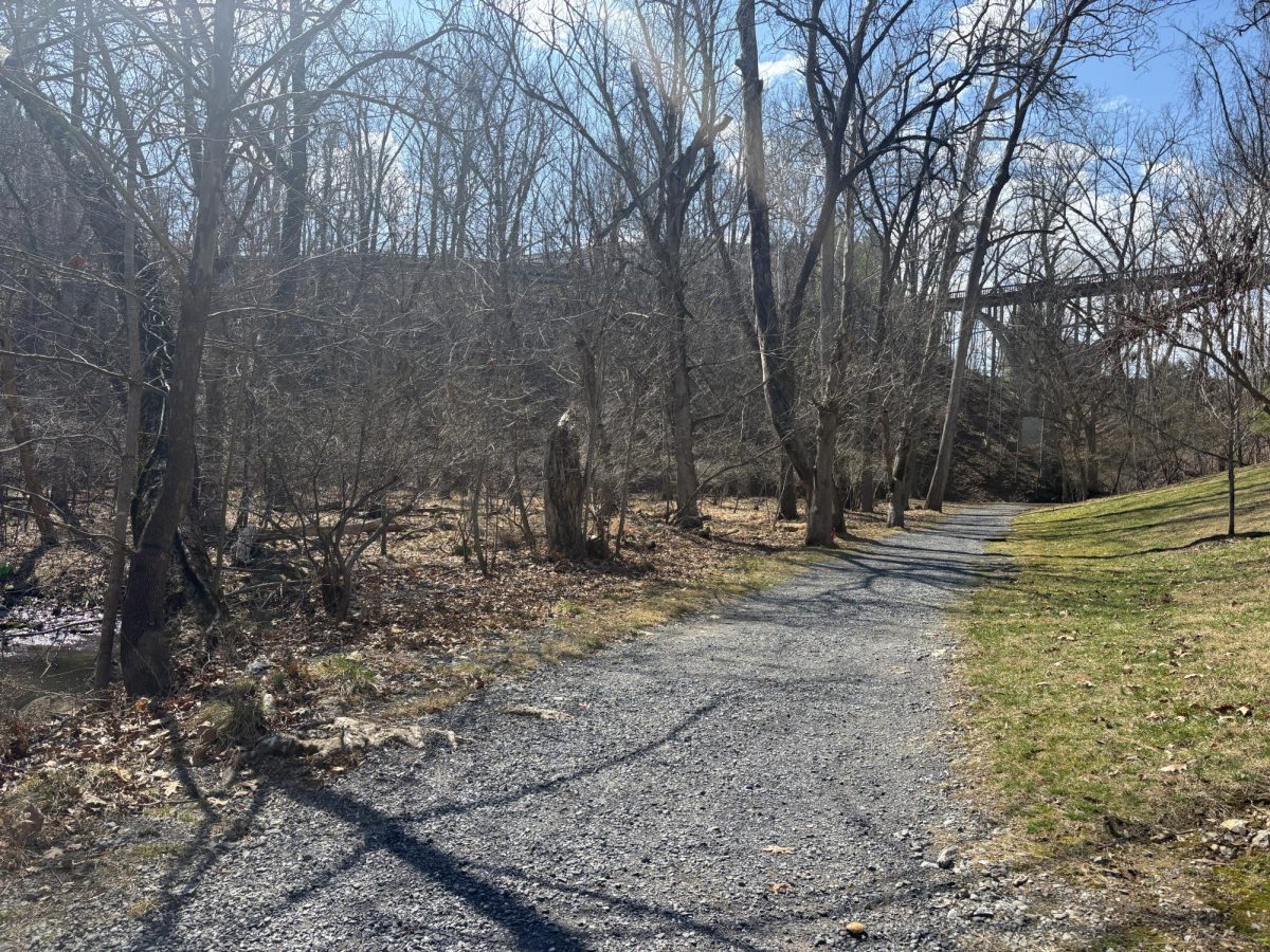 Woods Creek has shown signs of erosion from the construction site, a geology professor said. 